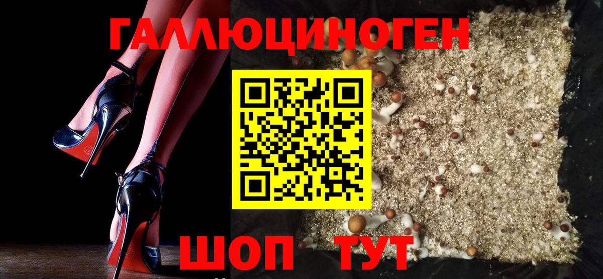 Галлюциногенные грибы Cubensis  Вход с VPN  наркотики  Псилоцибиновые грибы мухоморы  Тавда 