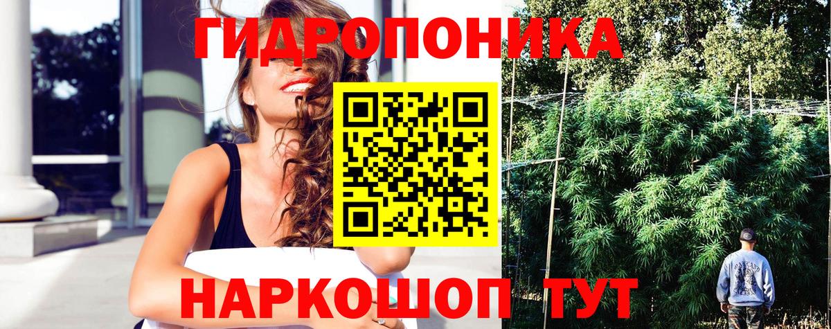 Бошки Шишки Ganja Тавда
